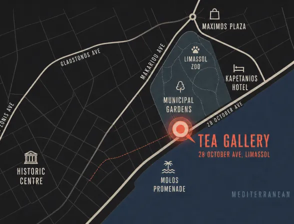An illustrated map of central Limassol with the game venue marked.